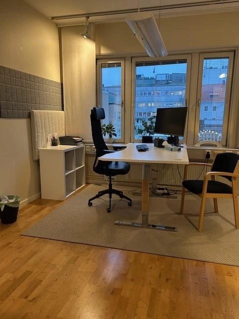 Bild 4 lejonet