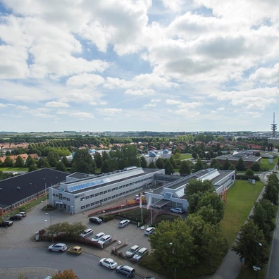 Malmö Rosenbuketten 4