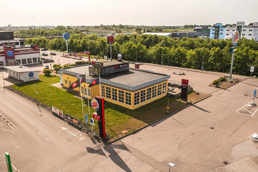 Print-Nyfosa 2025-Bronskragen 3-3