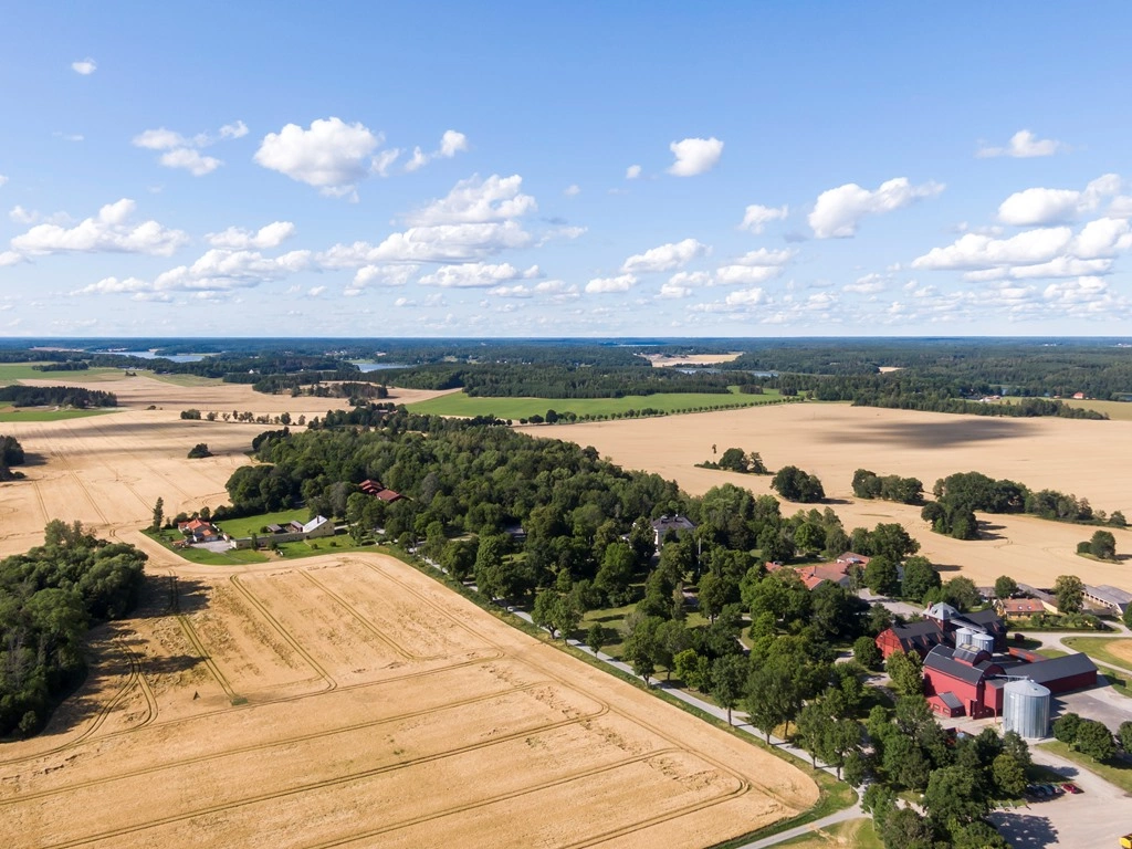 DJI_0505