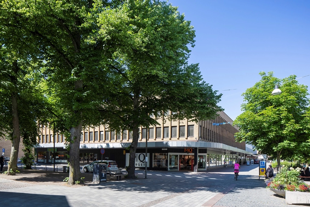 Ödman Storg 29 V Espl 3