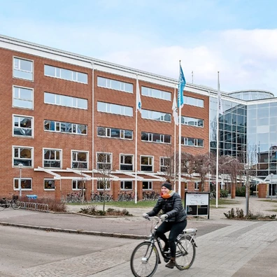 Halmstad Svartmunken 2